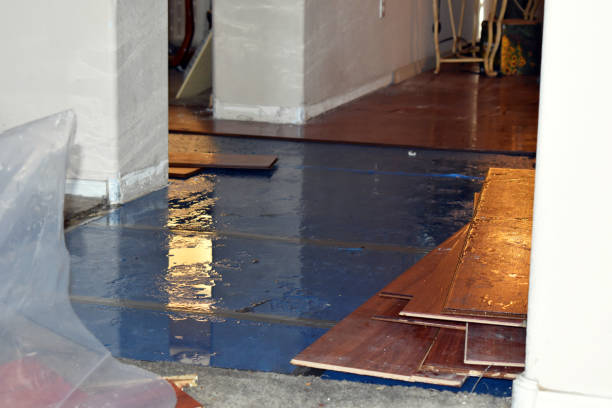 Professional Burst Pipe Cleanup technician working in Decker, MI